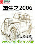 重生之2006